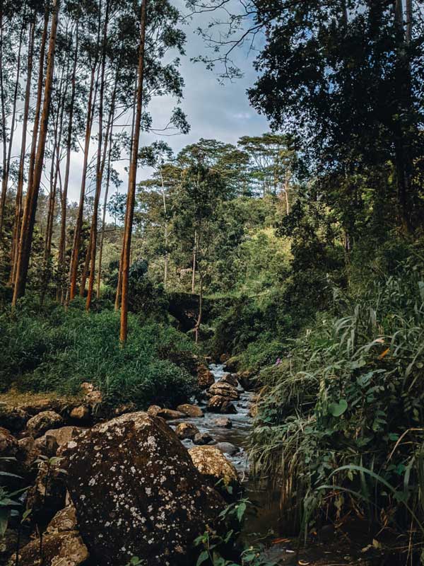 Sri_Lanka_013