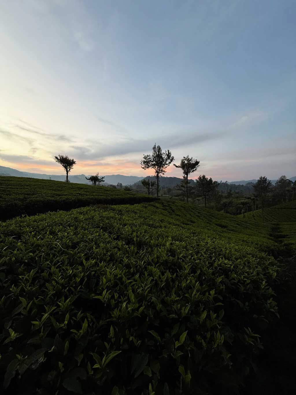 Sri_Lanka_08