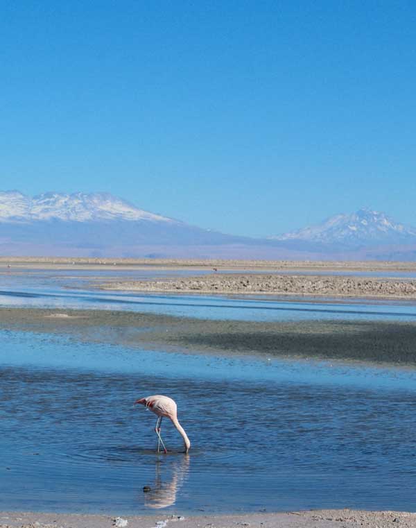 Atacama_019